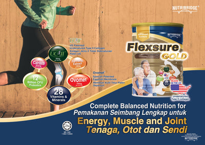 NUTRIBRIDGE FLEXSURE GOLD 850g