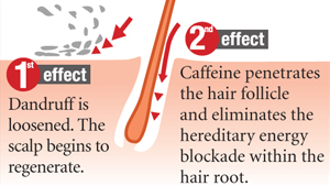 ALPECIN DOUBLE EFFECT CAFFEINE SHAMPOO
