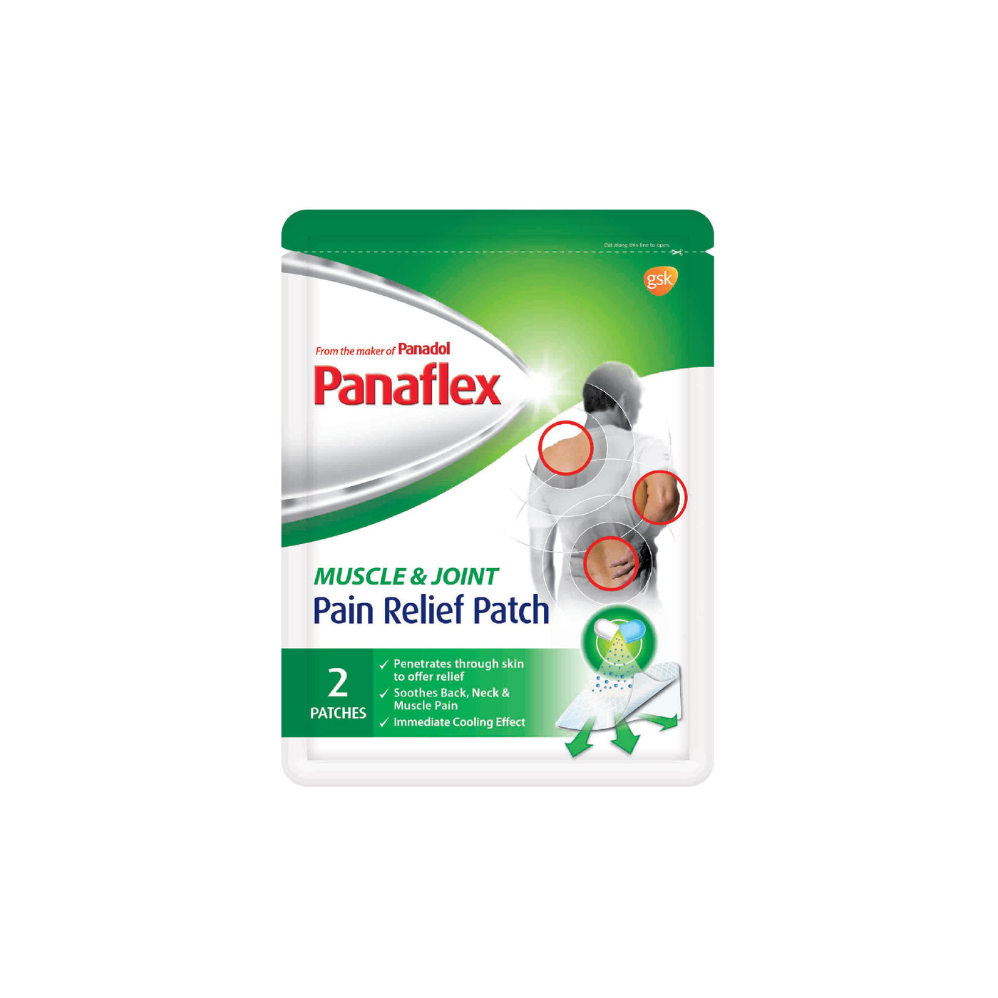 PANAFLEX PAIN RELIEF PATCH 2's
